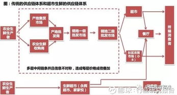 2018 2018年生鲜供应链行业研究报告