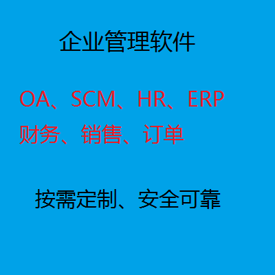 企业管理网站(系统)开发/财务、管理、HR、OA、CMS